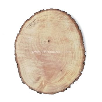 صفحه اسلایس چوب تنه درخت روشن ۲۲سانتی‌متری